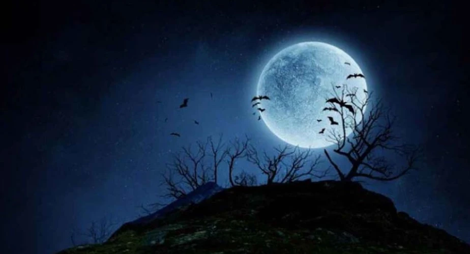 আজ বছরের সবচেয়ে দীর্ঘ রাত